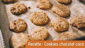 Cookie bio pour recette des cookies chocolat coco