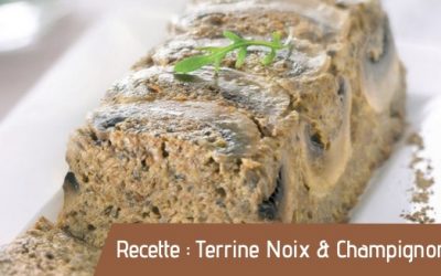 Recette : Terrine noix & champignons