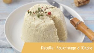 fromage vegetale faux mage